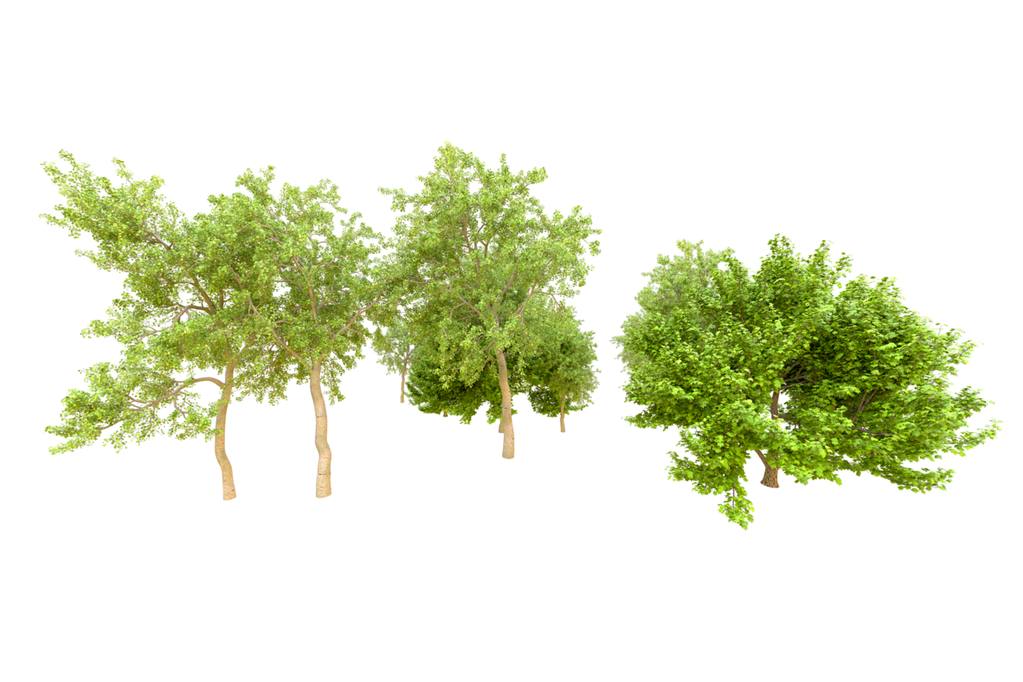 Green forest isolated on background. 3d rendering - illustration png