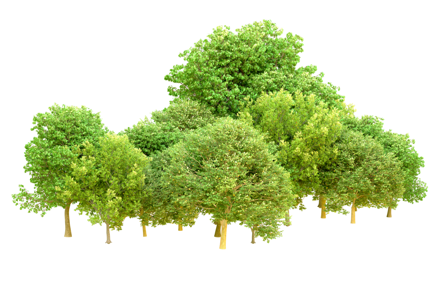 Green forest isolated on background. 3d rendering - illustration png