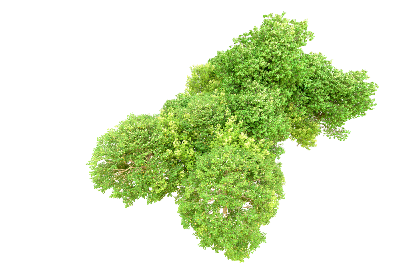 Green forest isolated on background. 3d rendering - illustration png