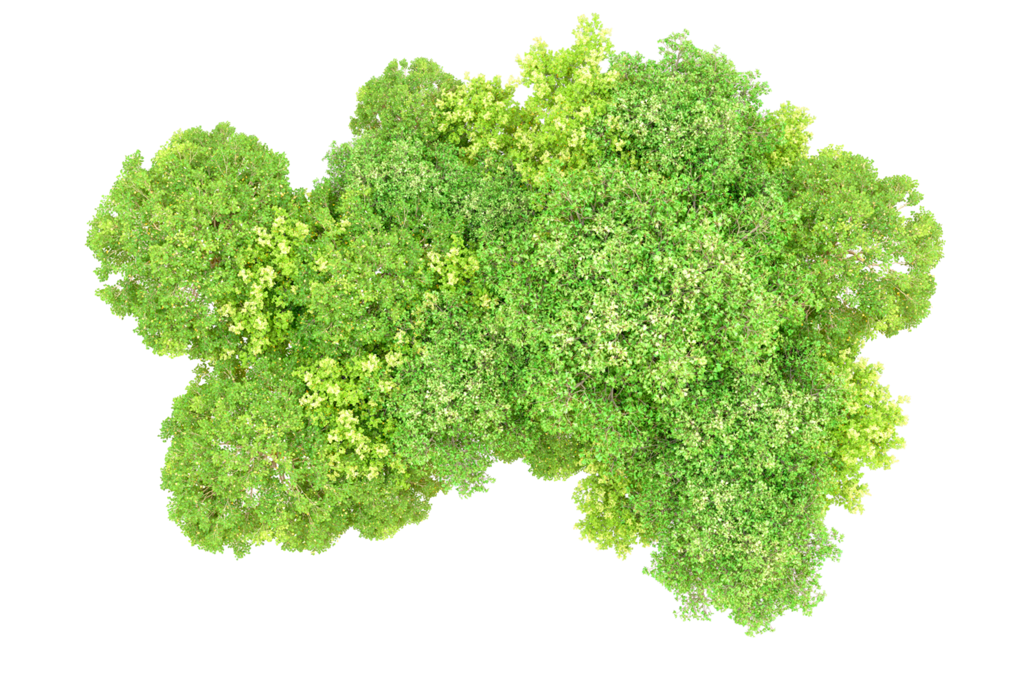 Green forest isolated on background. 3d rendering - illustration png