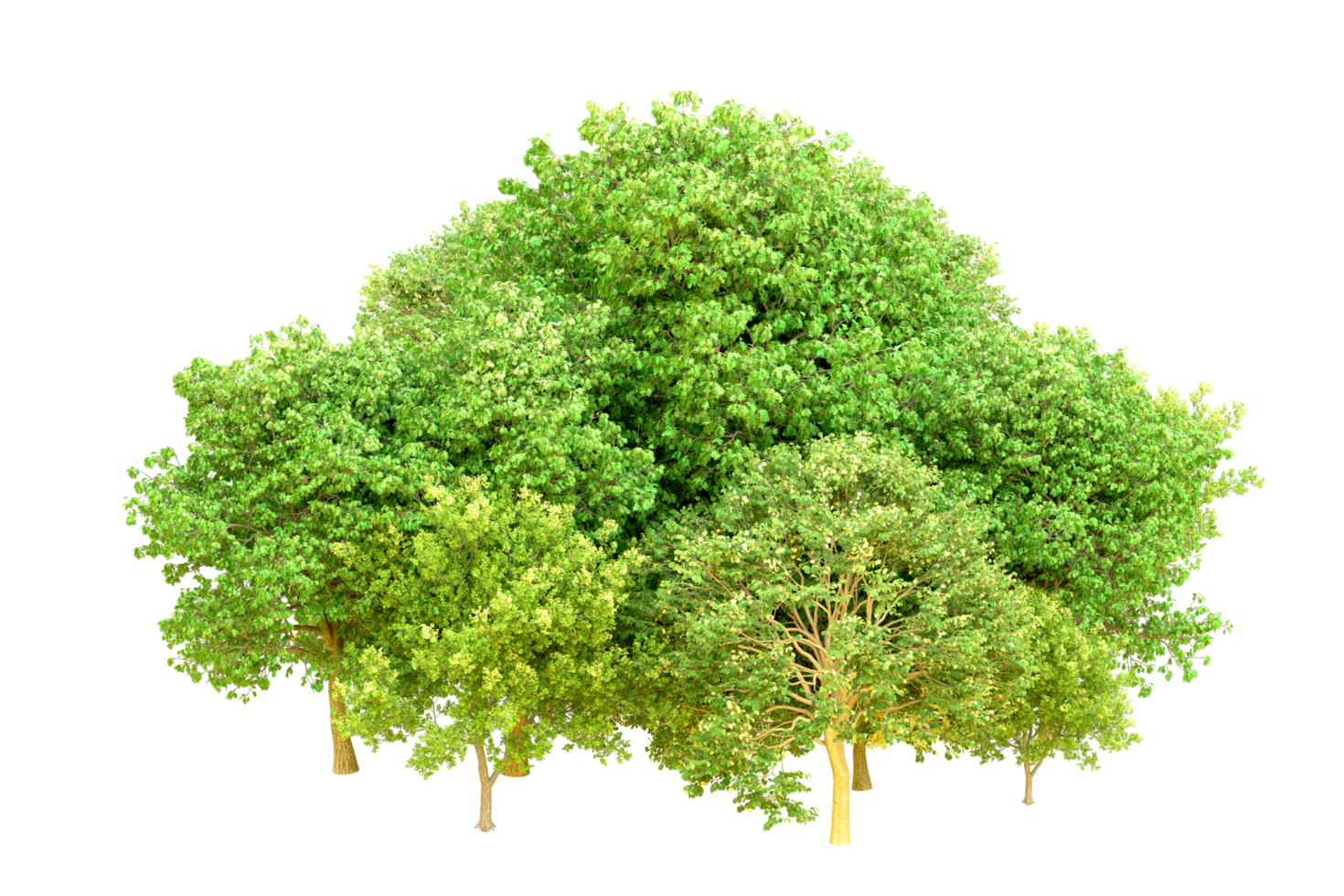 Green forest isolated on background. 3d rendering - illustration png