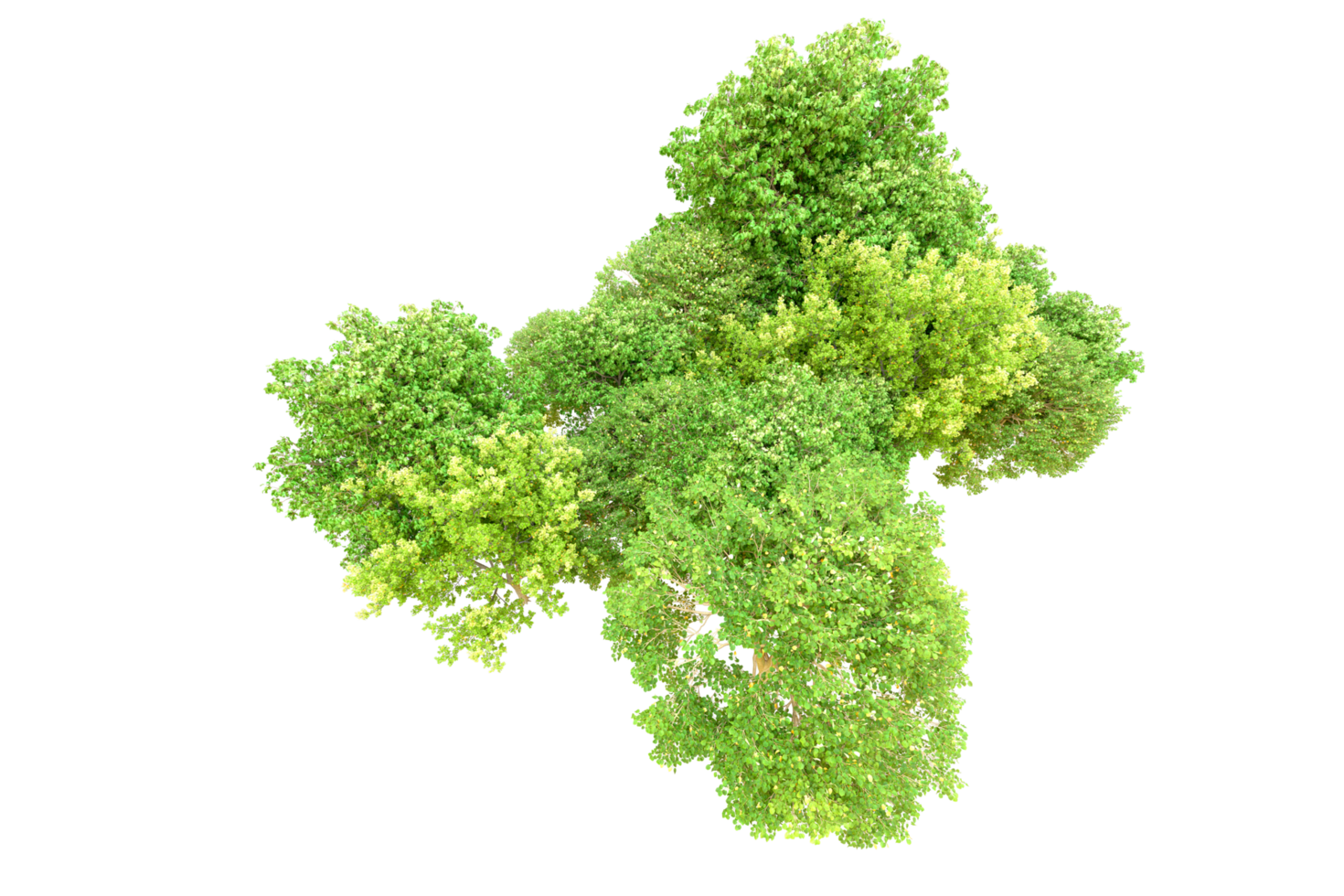 Green forest isolated on background. 3d rendering - illustration png