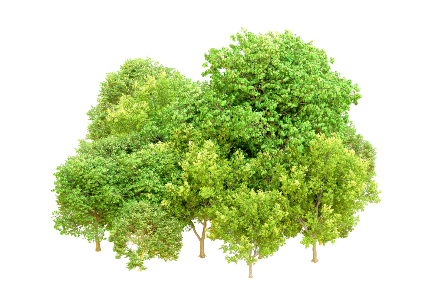 Green forest isolated on background. 3d rendering - illustration png