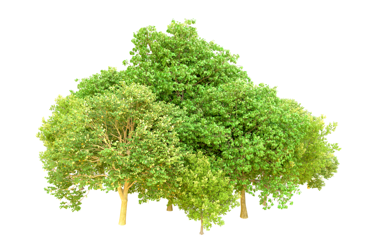 Green forest isolated on background. 3d rendering - illustration png