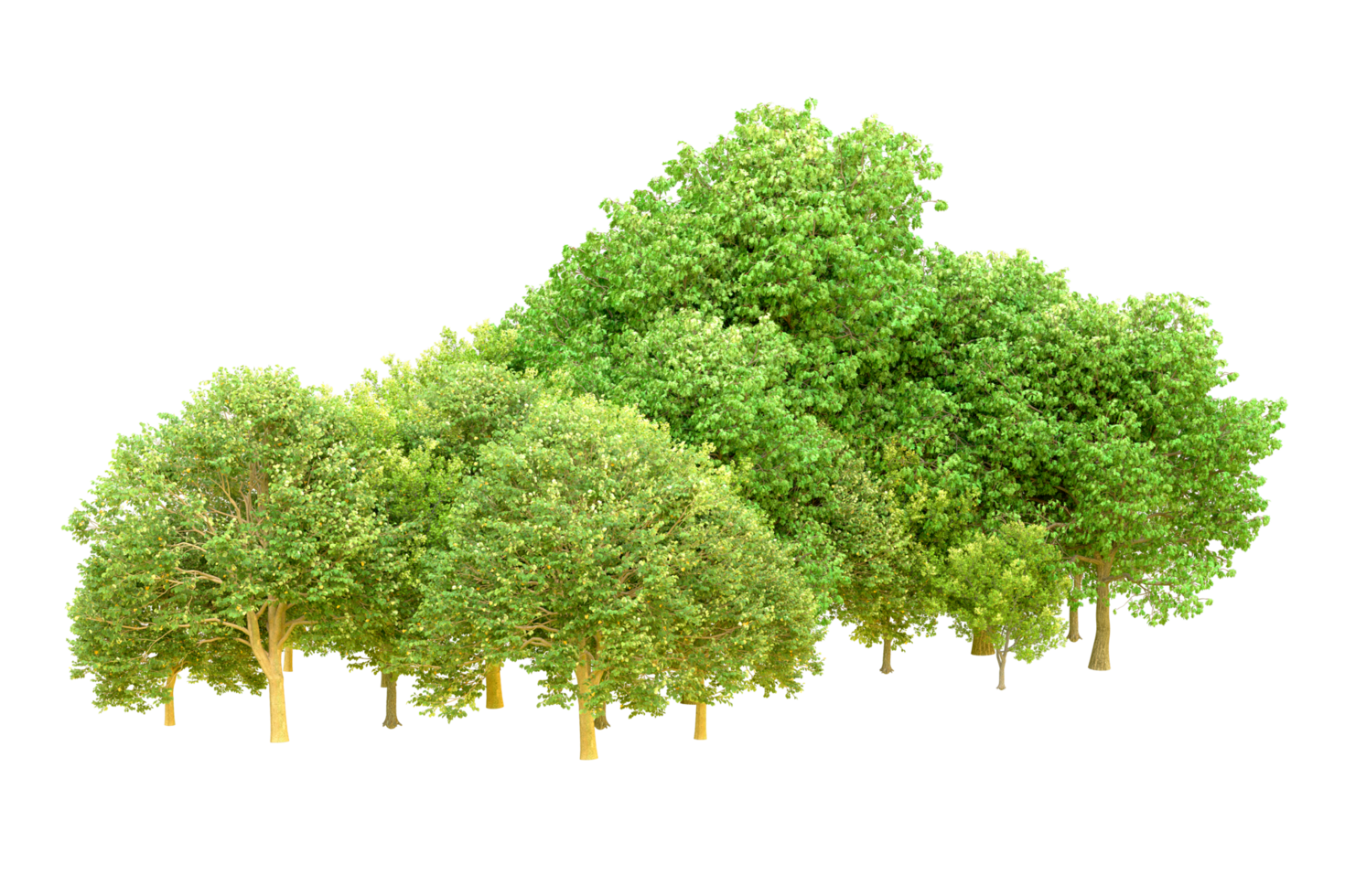 Green forest isolated on background. 3d rendering - illustration png