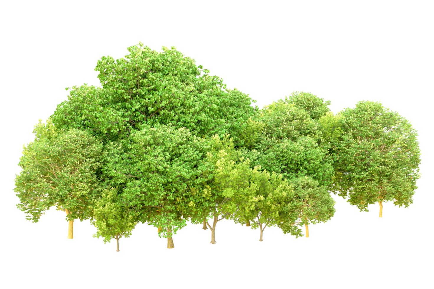 Green forest isolated on background. 3d rendering - illustration png