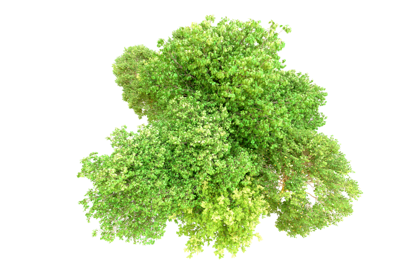 Green forest isolated on background. 3d rendering - illustration png