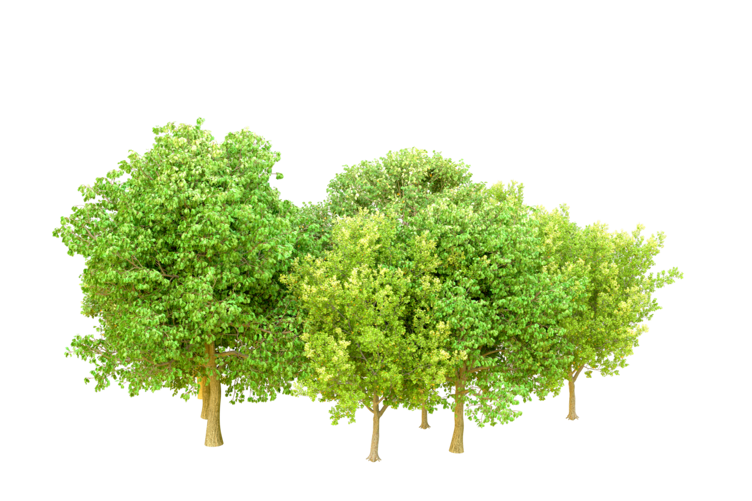 Green forest isolated on background. 3d rendering - illustration png