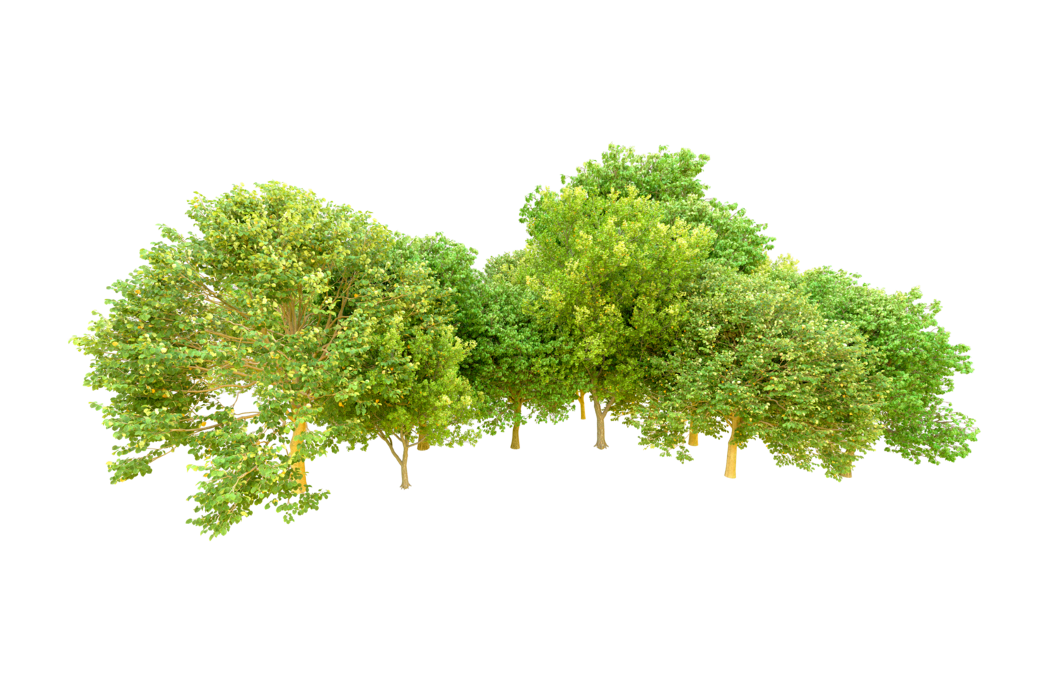 Green forest isolated on background. 3d rendering - illustration png