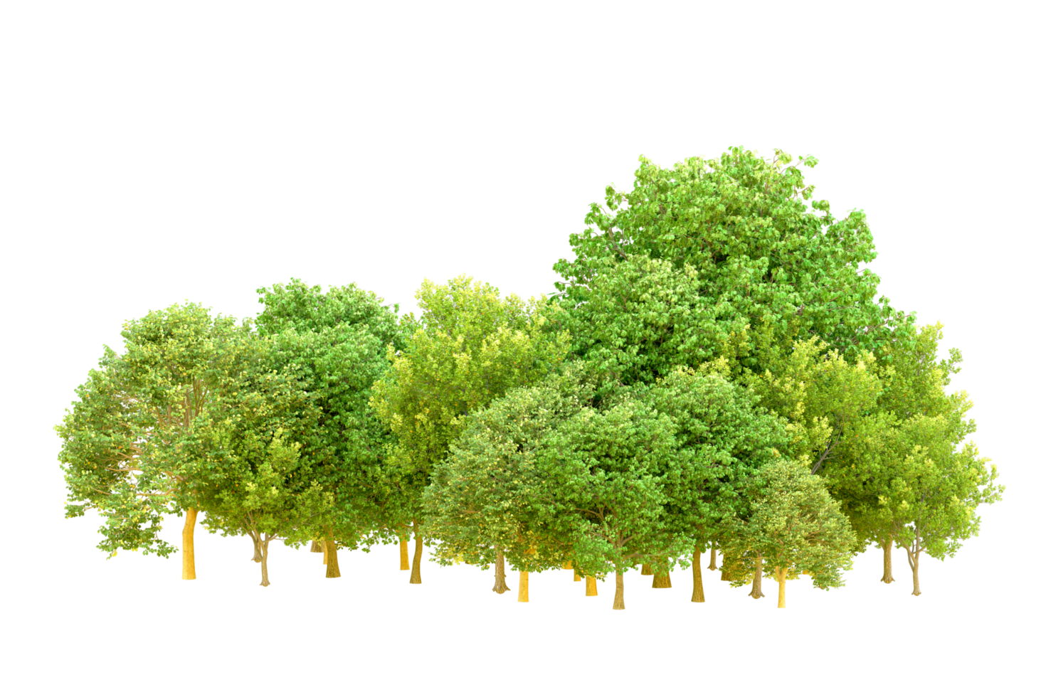 Green forest isolated on background. 3d rendering - illustration png