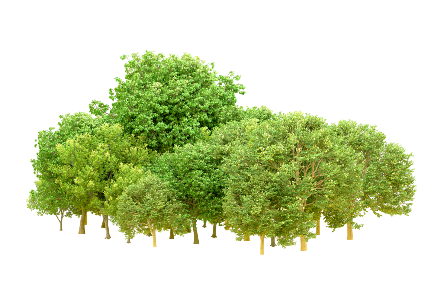 Green forest isolated on background. 3d rendering - illustration png