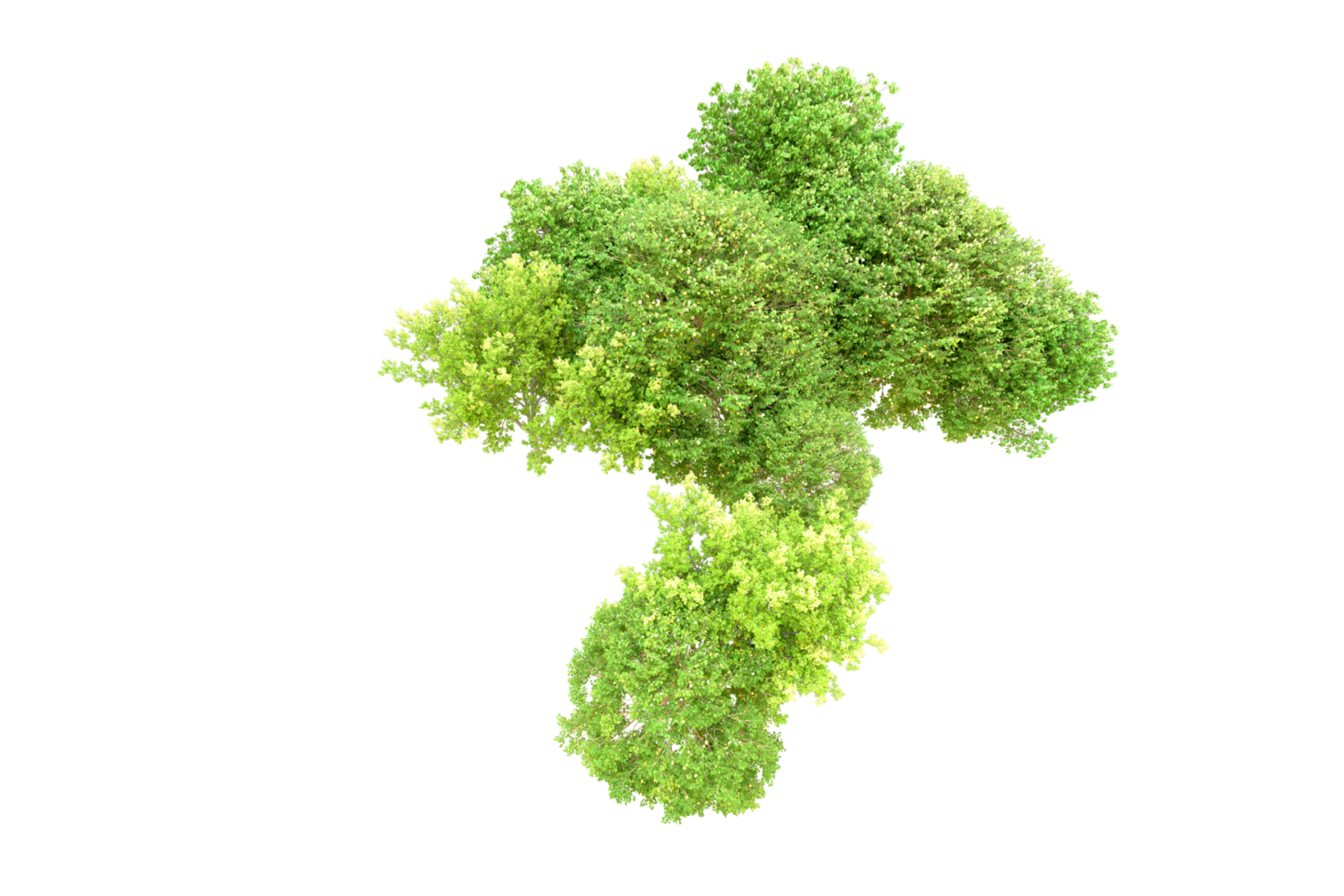 Green forest isolated on background. 3d rendering - illustration png