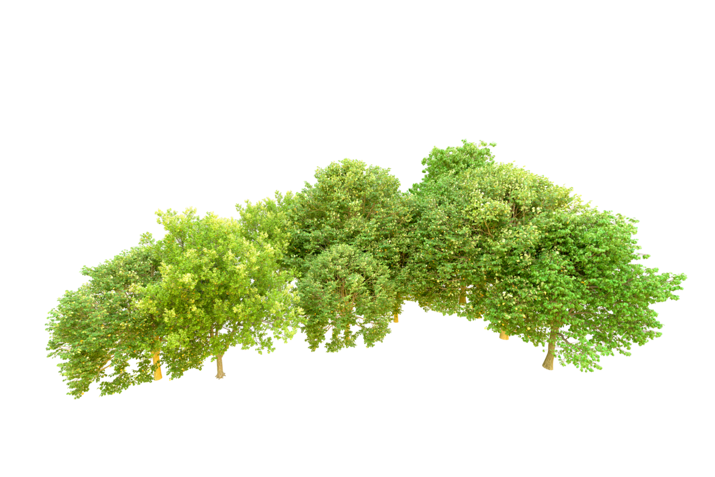 Green forest isolated on background. 3d rendering - illustration png