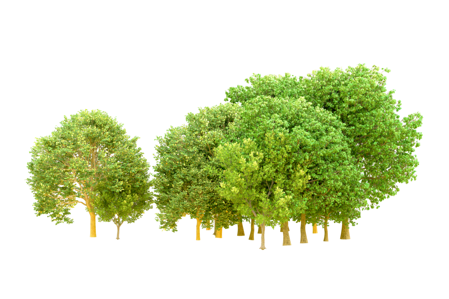 Green forest isolated on background. 3d rendering - illustration png