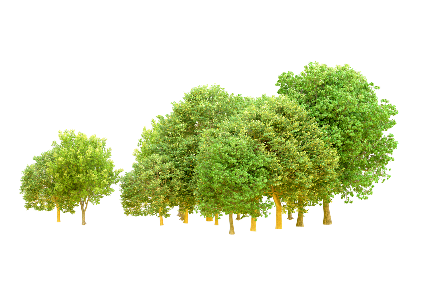 Green forest isolated on background. 3d rendering - illustration png