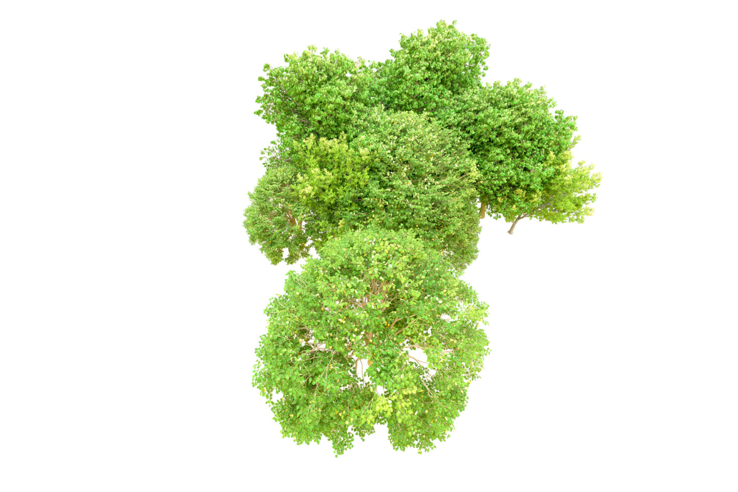 Green forest isolated on background. 3d rendering - illustration png