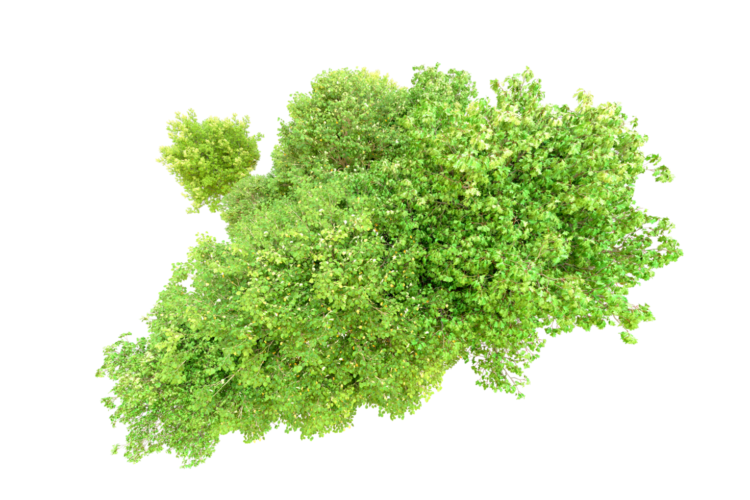 Green forest isolated on background. 3d rendering - illustration png
