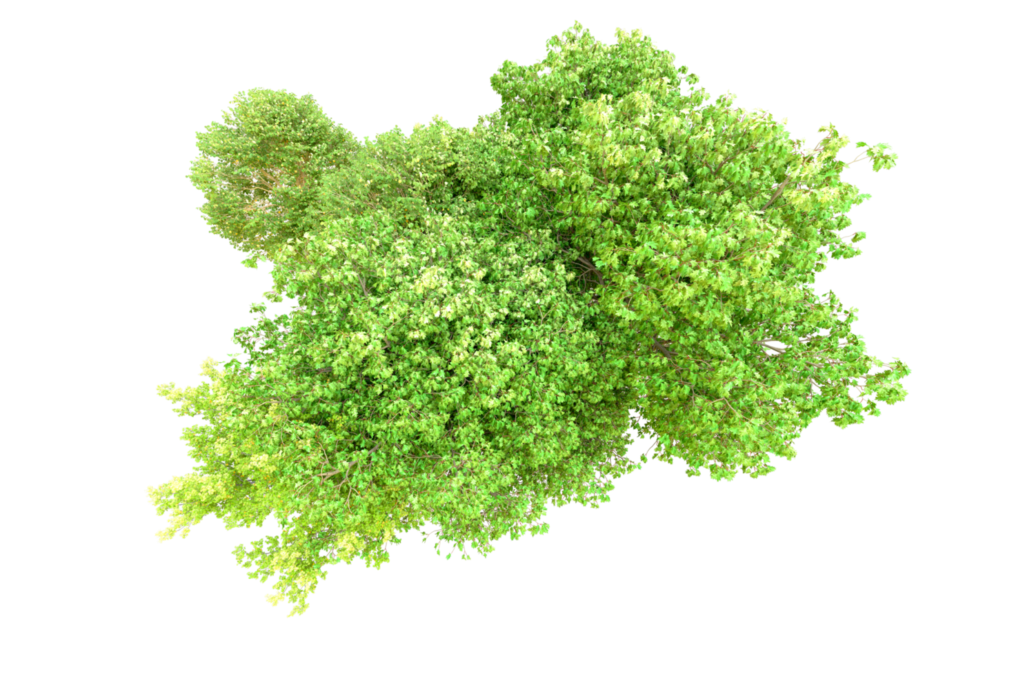 Green forest isolated on background. 3d rendering - illustration png