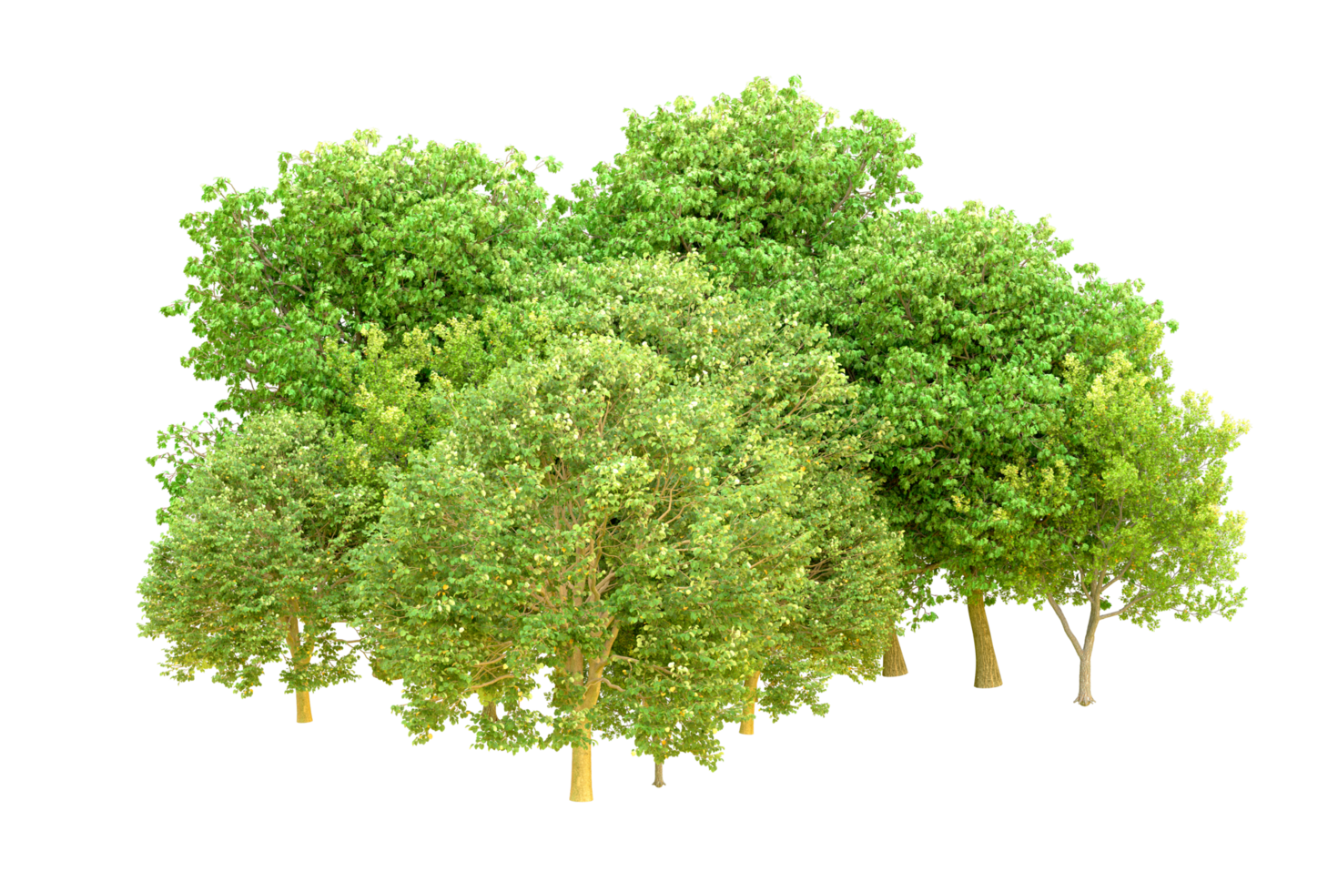 Green forest isolated on background. 3d rendering - illustration png
