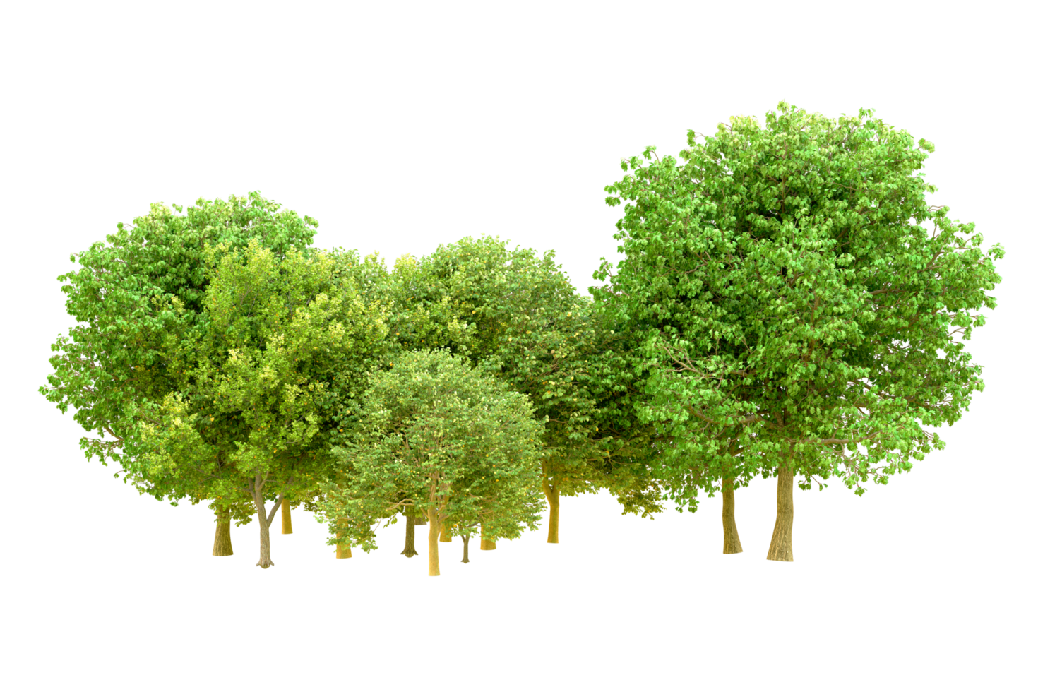 Green forest isolated on background. 3d rendering - illustration png