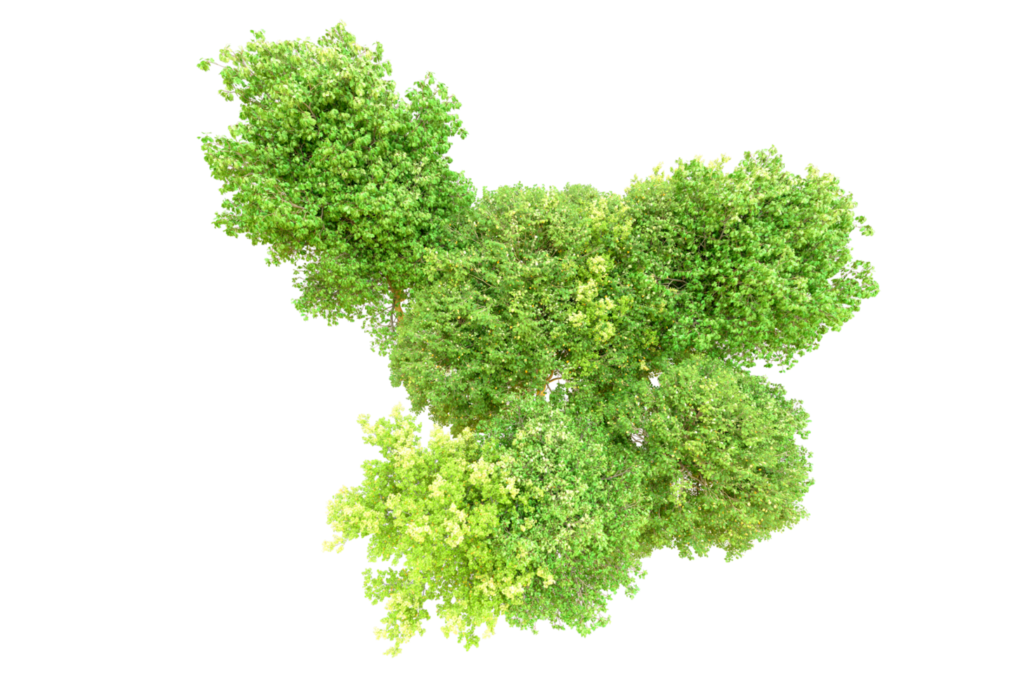 Green forest isolated on background. 3d rendering - illustration png