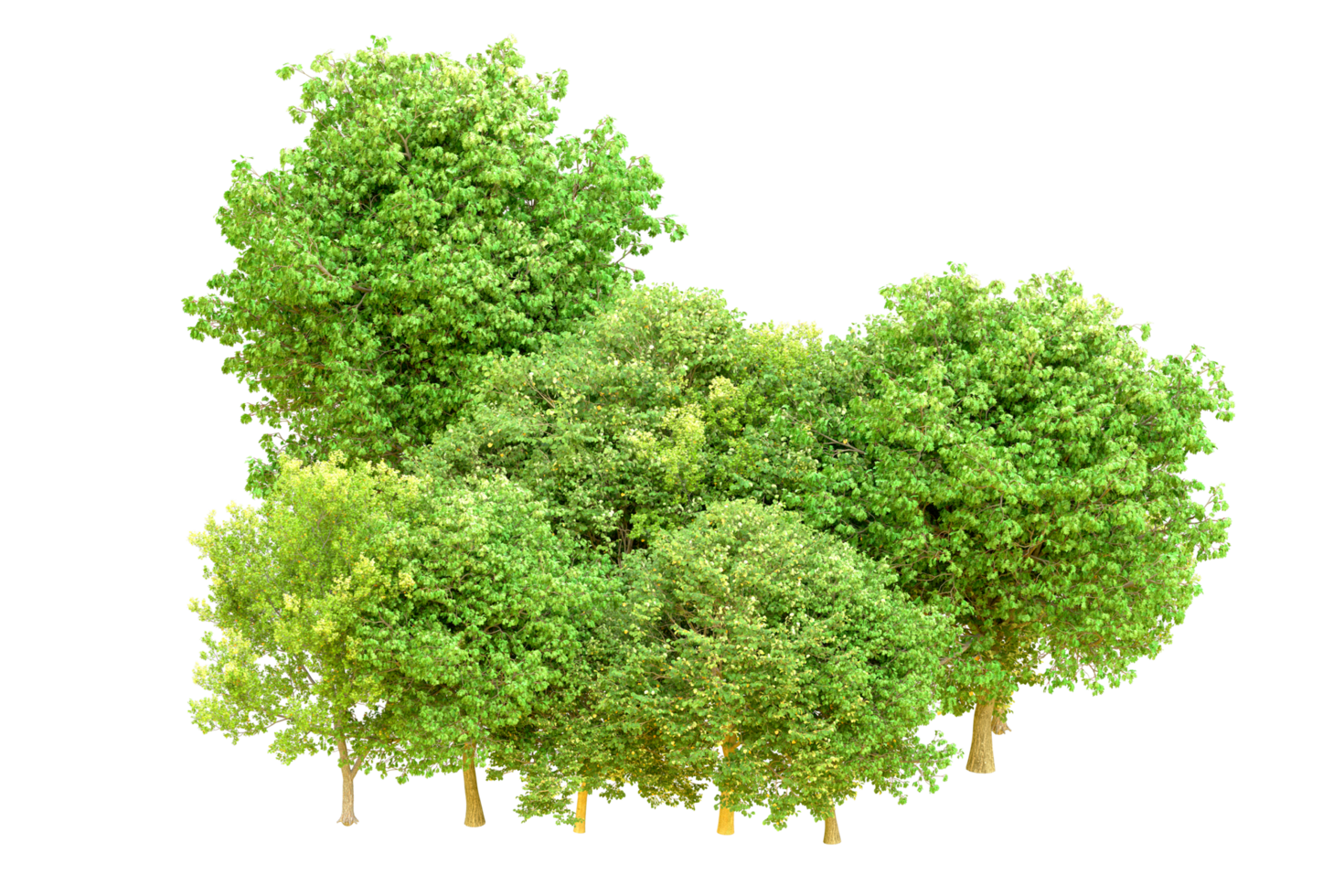 Green forest isolated on background. 3d rendering - illustration png