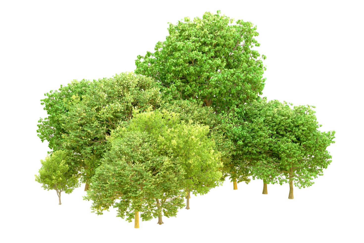Green forest isolated on background. 3d rendering - illustration png