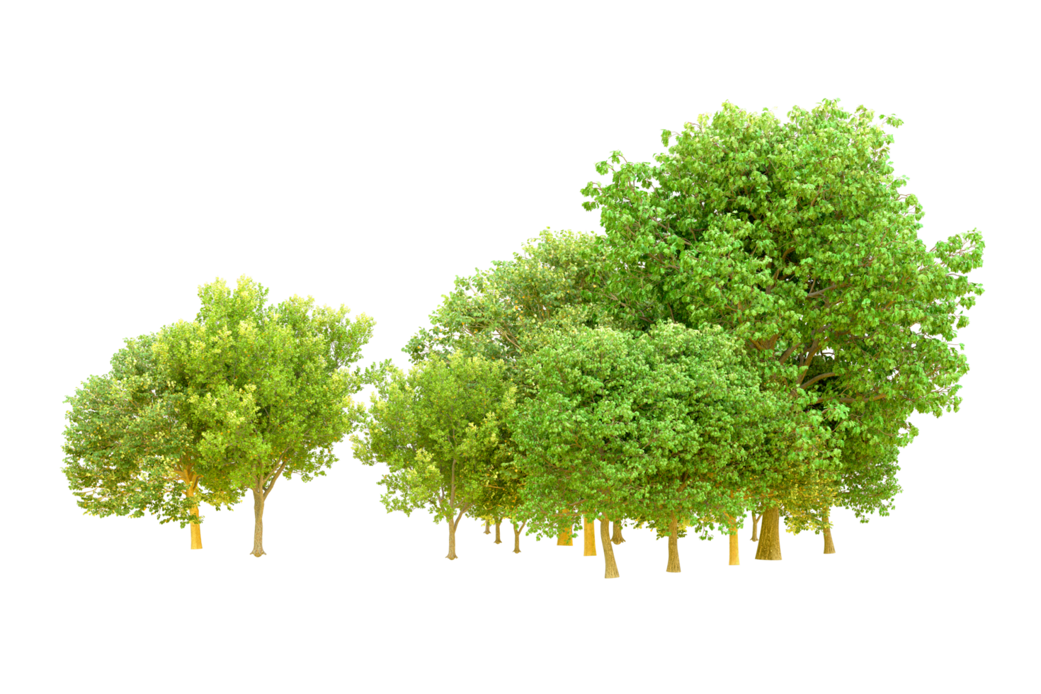 Green forest isolated on background. 3d rendering - illustration png