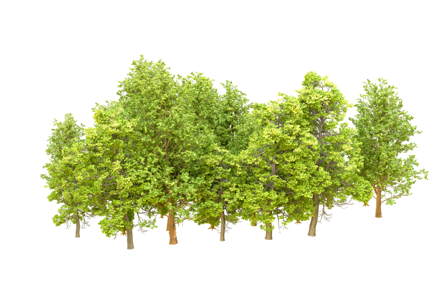 Green forest isolated on background. 3d rendering - illustration png