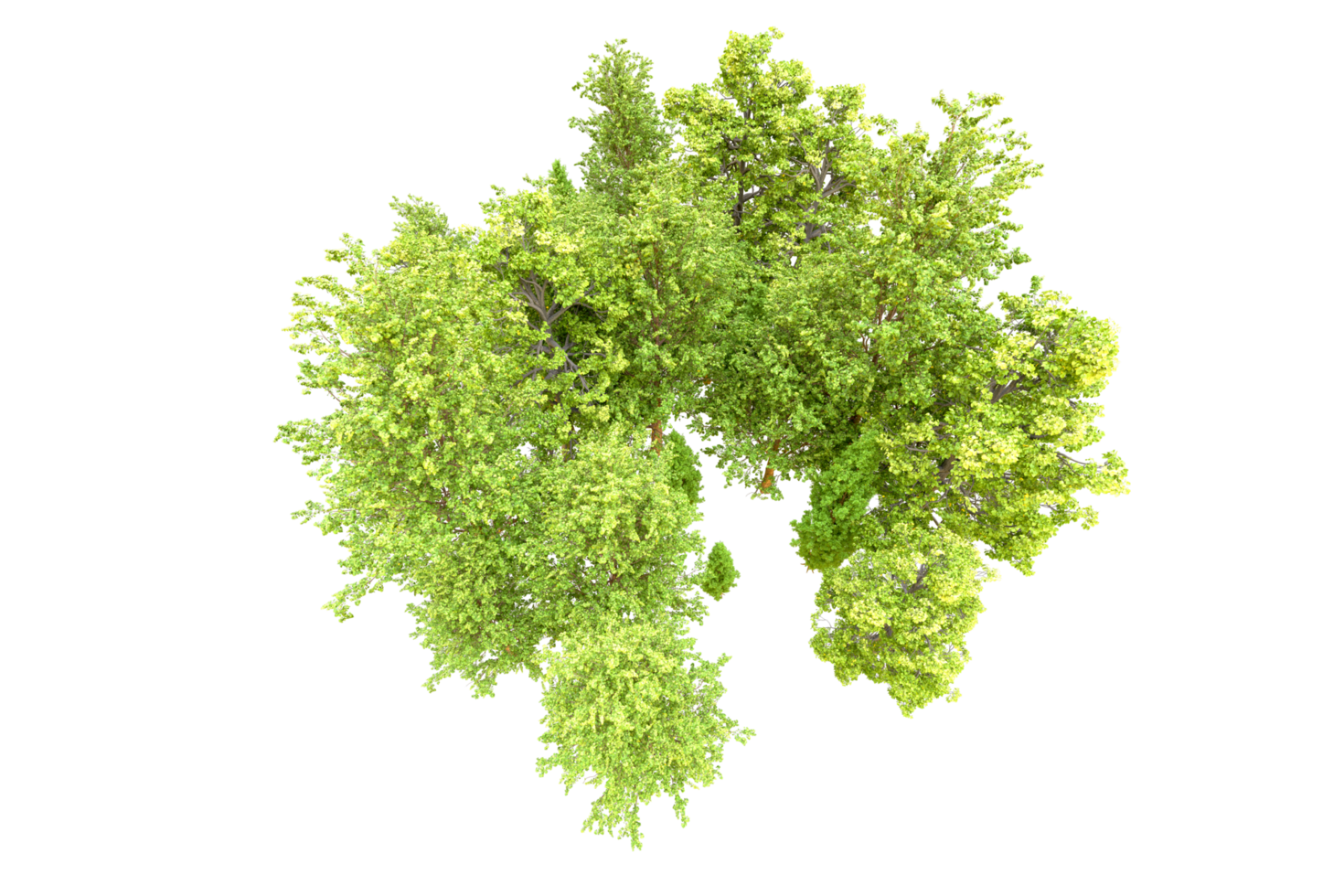 Green forest isolated on background. 3d rendering - illustration png