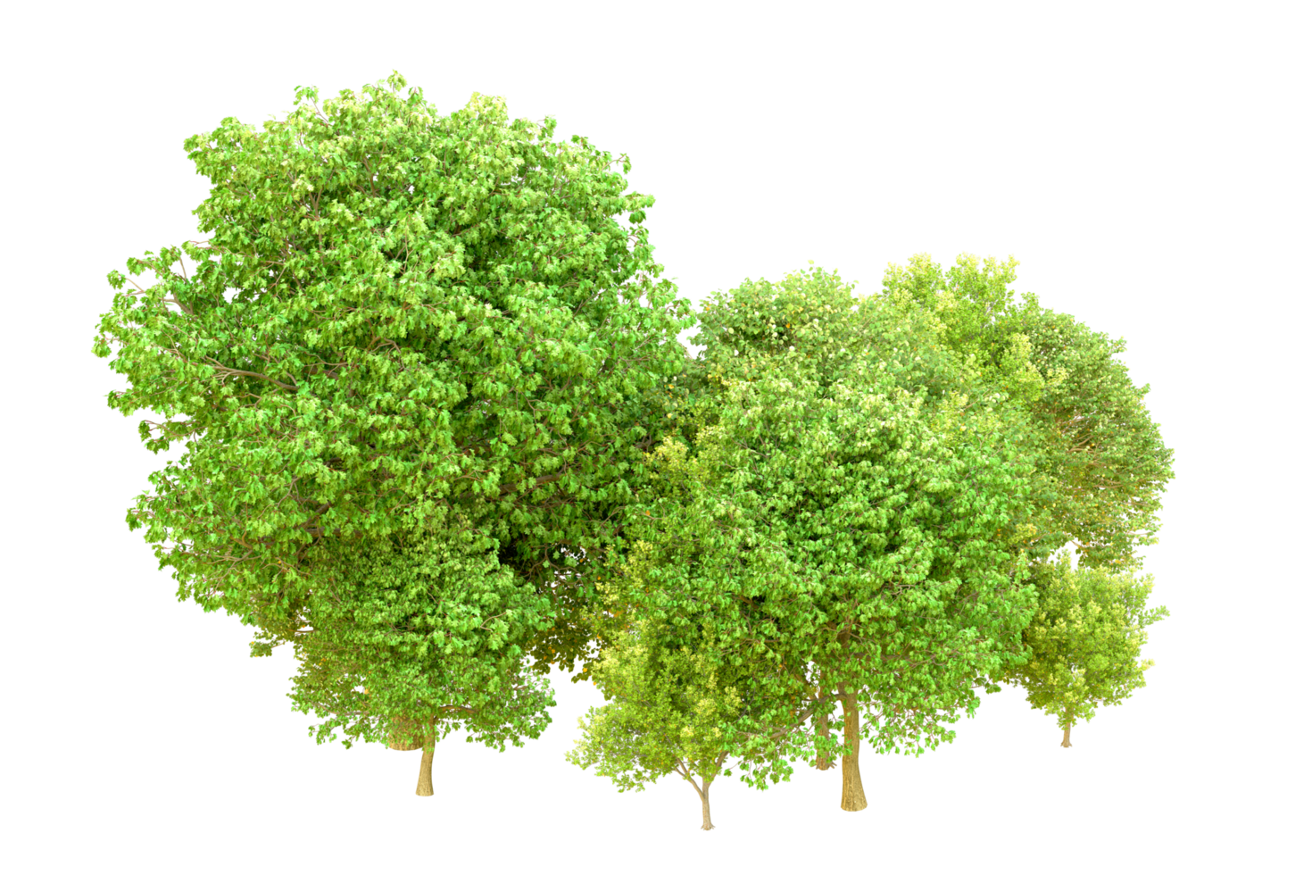 Green forest isolated on background. 3d rendering - illustration png
