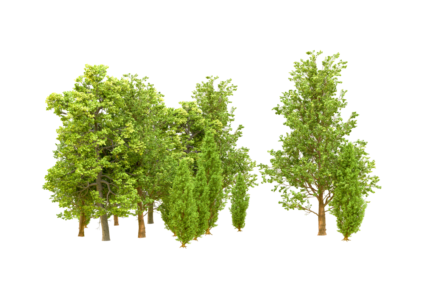 Green forest isolated on background. 3d rendering - illustration png
