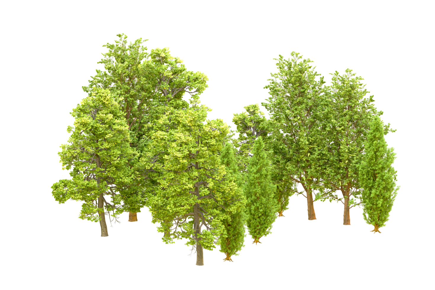 Green forest isolated on background. 3d rendering - illustration png