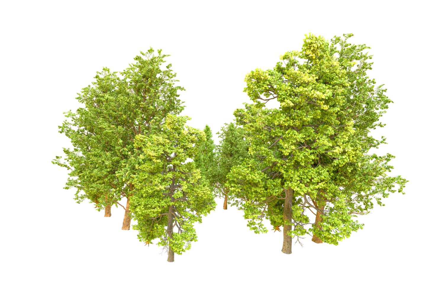 Green forest isolated on background. 3d rendering - illustration png