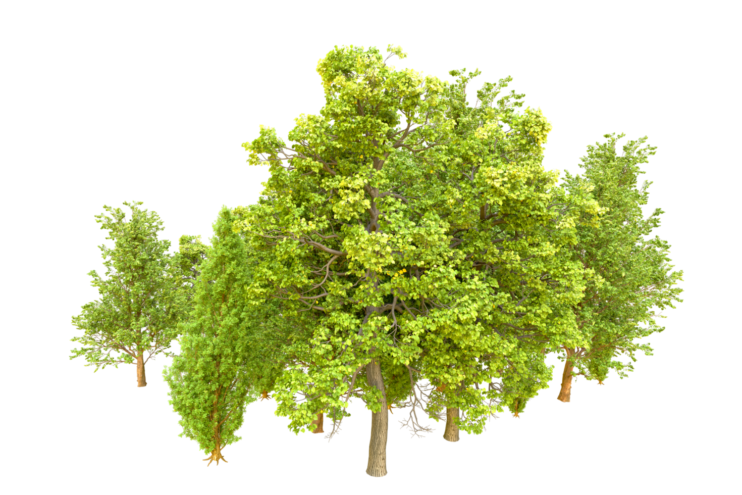 Green forest isolated on background. 3d rendering - illustration png