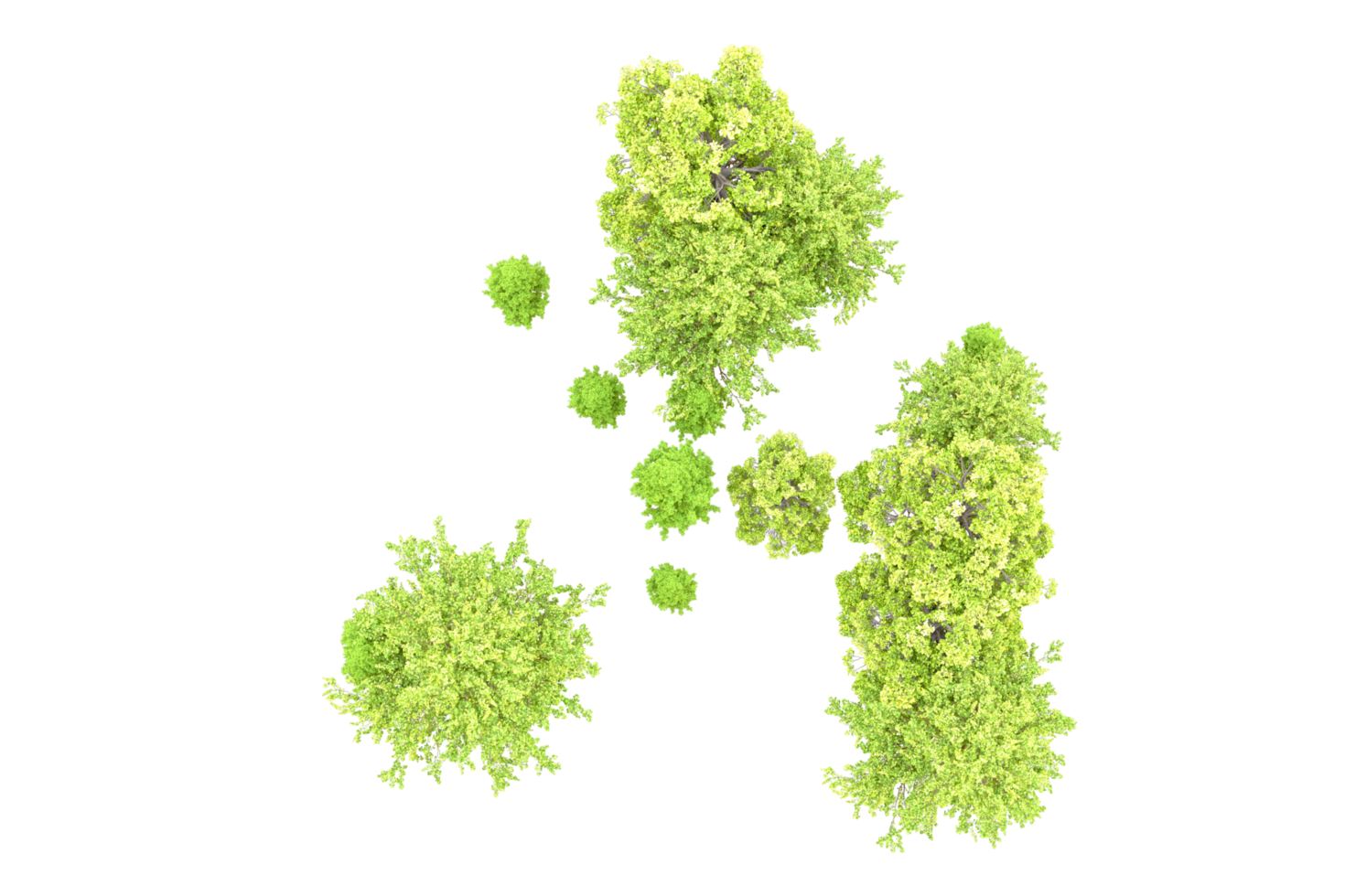Green forest isolated on background. 3d rendering - illustration png