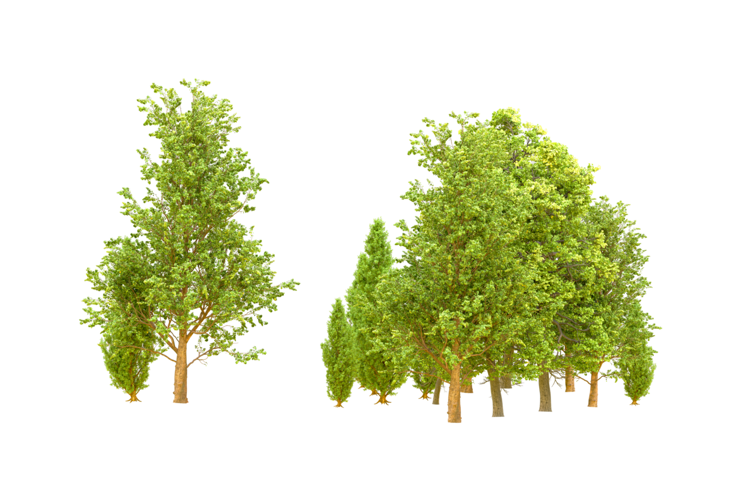 Green forest isolated on background. 3d rendering - illustration png