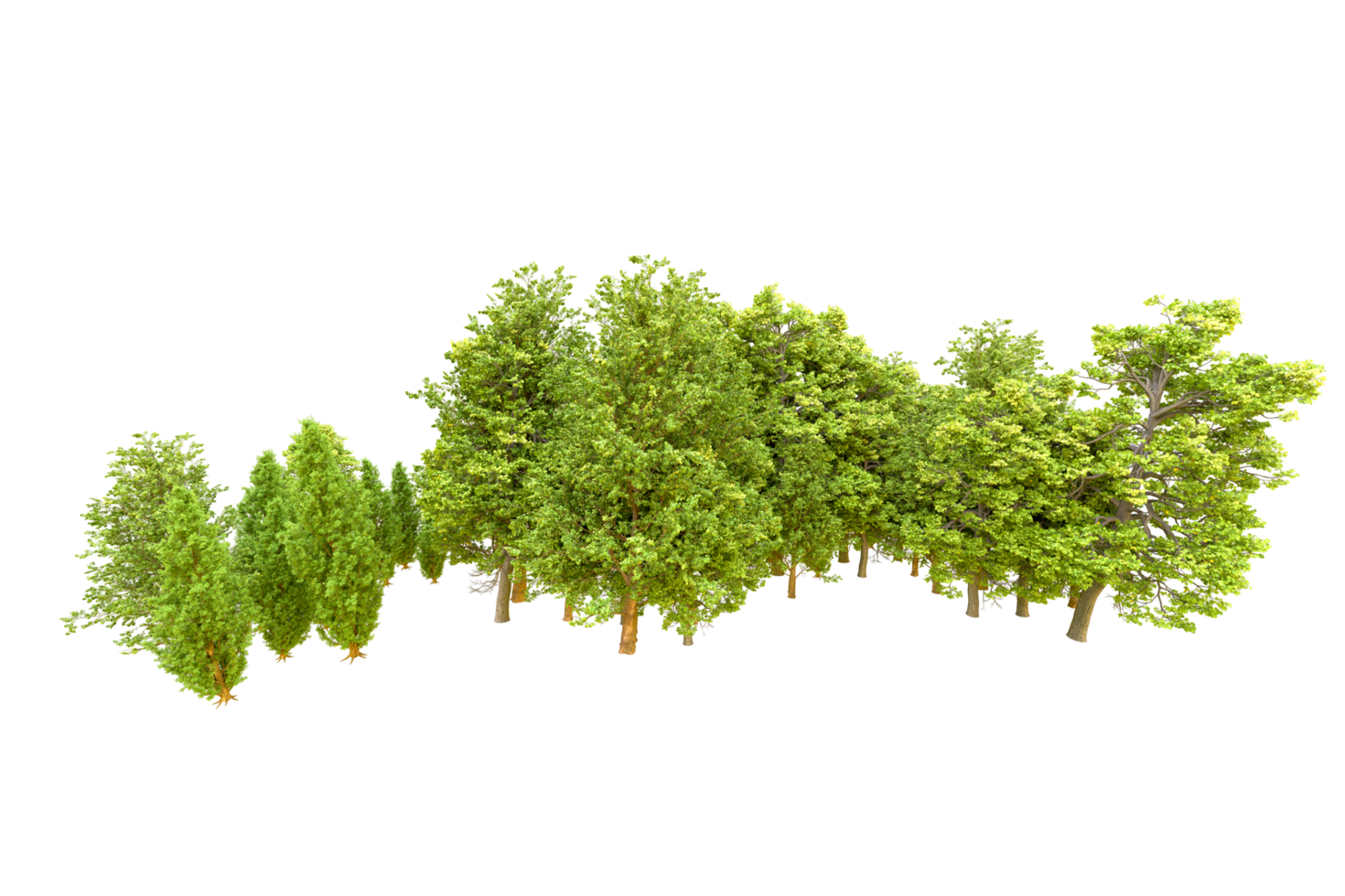 Green forest isolated on background. 3d rendering - illustration png
