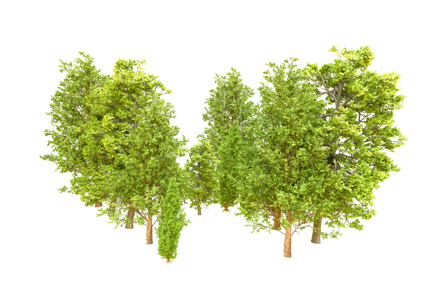 Green forest isolated on background. 3d rendering - illustration png