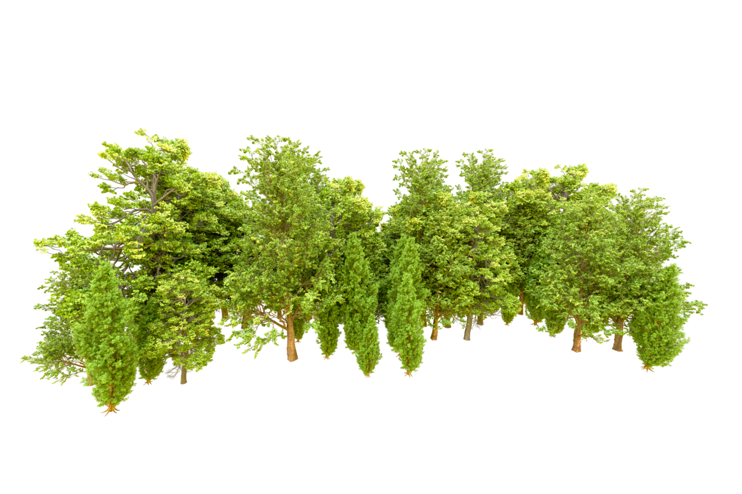 Green forest isolated on background. 3d rendering - illustration png