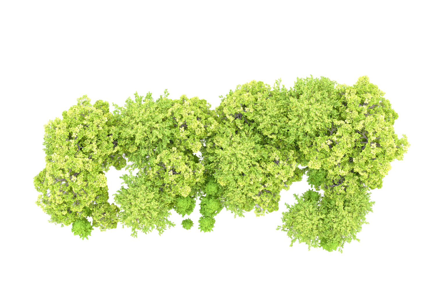 Green forest isolated on background. 3d rendering - illustration png