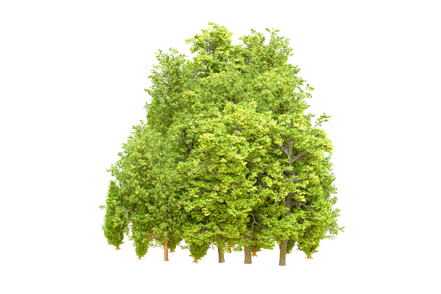 Green forest isolated on background. 3d rendering - illustration png