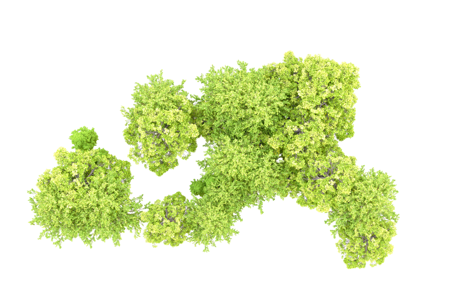 Green forest isolated on background. 3d rendering - illustration png