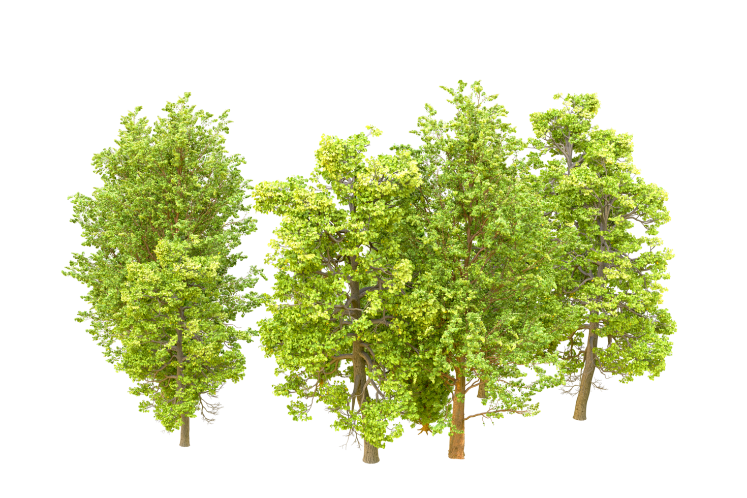 Green forest isolated on background. 3d rendering - illustration png