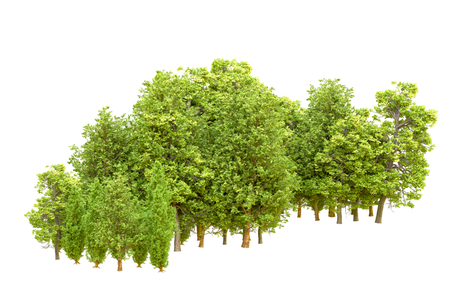 Green forest isolated on background. 3d rendering - illustration png