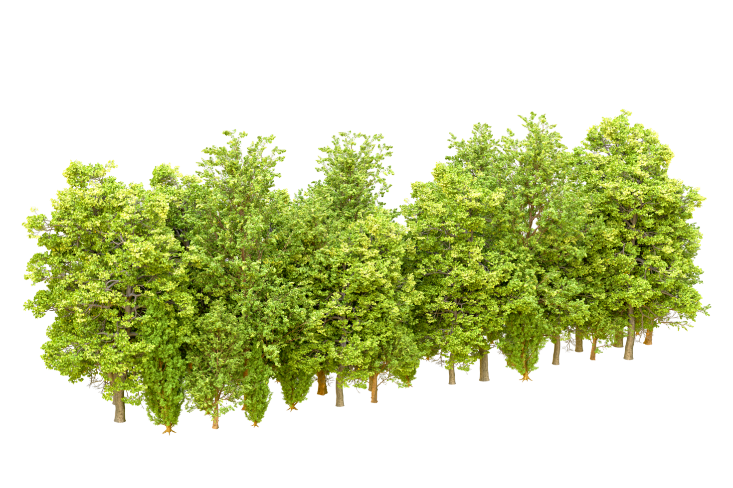 Green forest isolated on background. 3d rendering - illustration png
