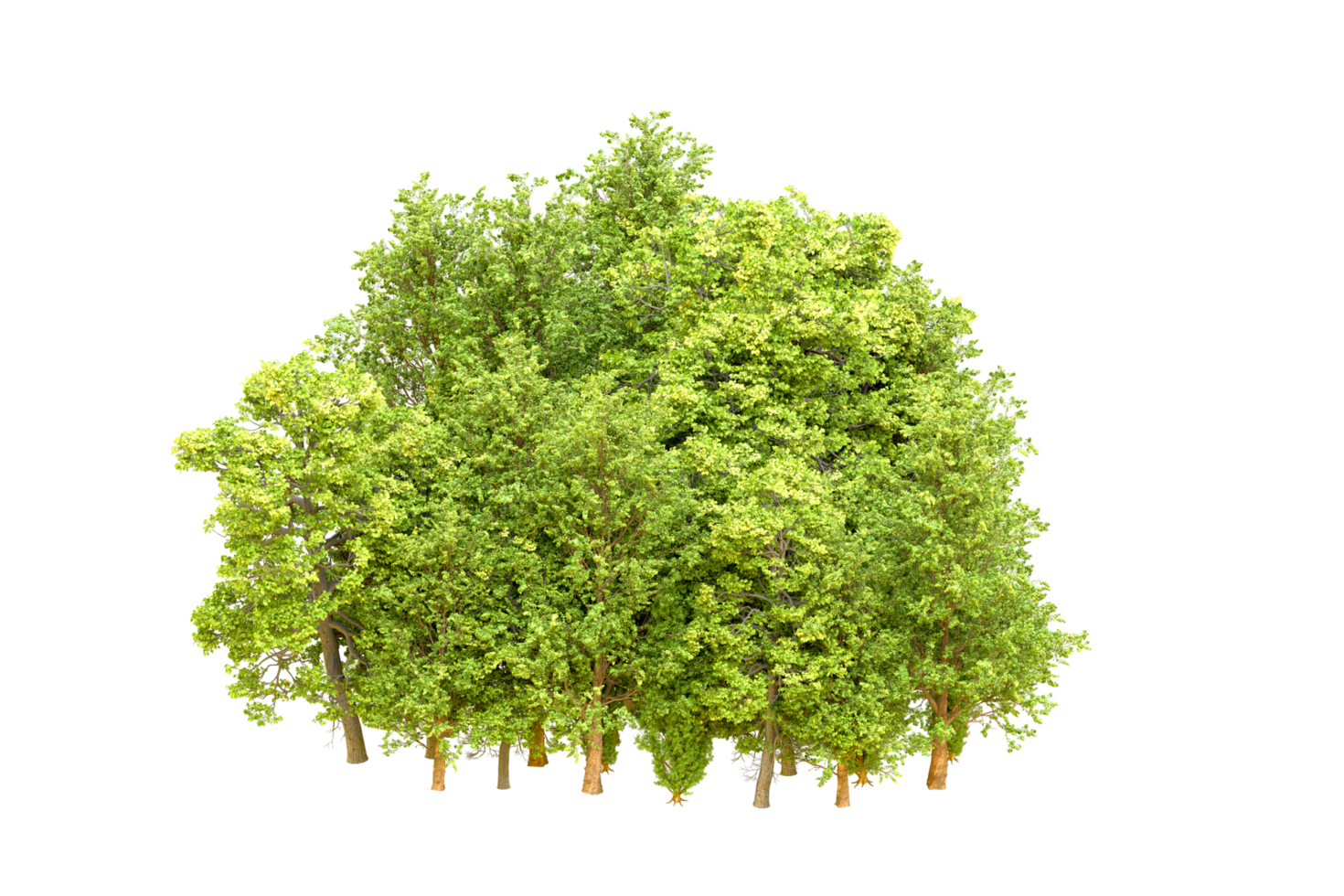 Green forest isolated on background. 3d rendering - illustration png