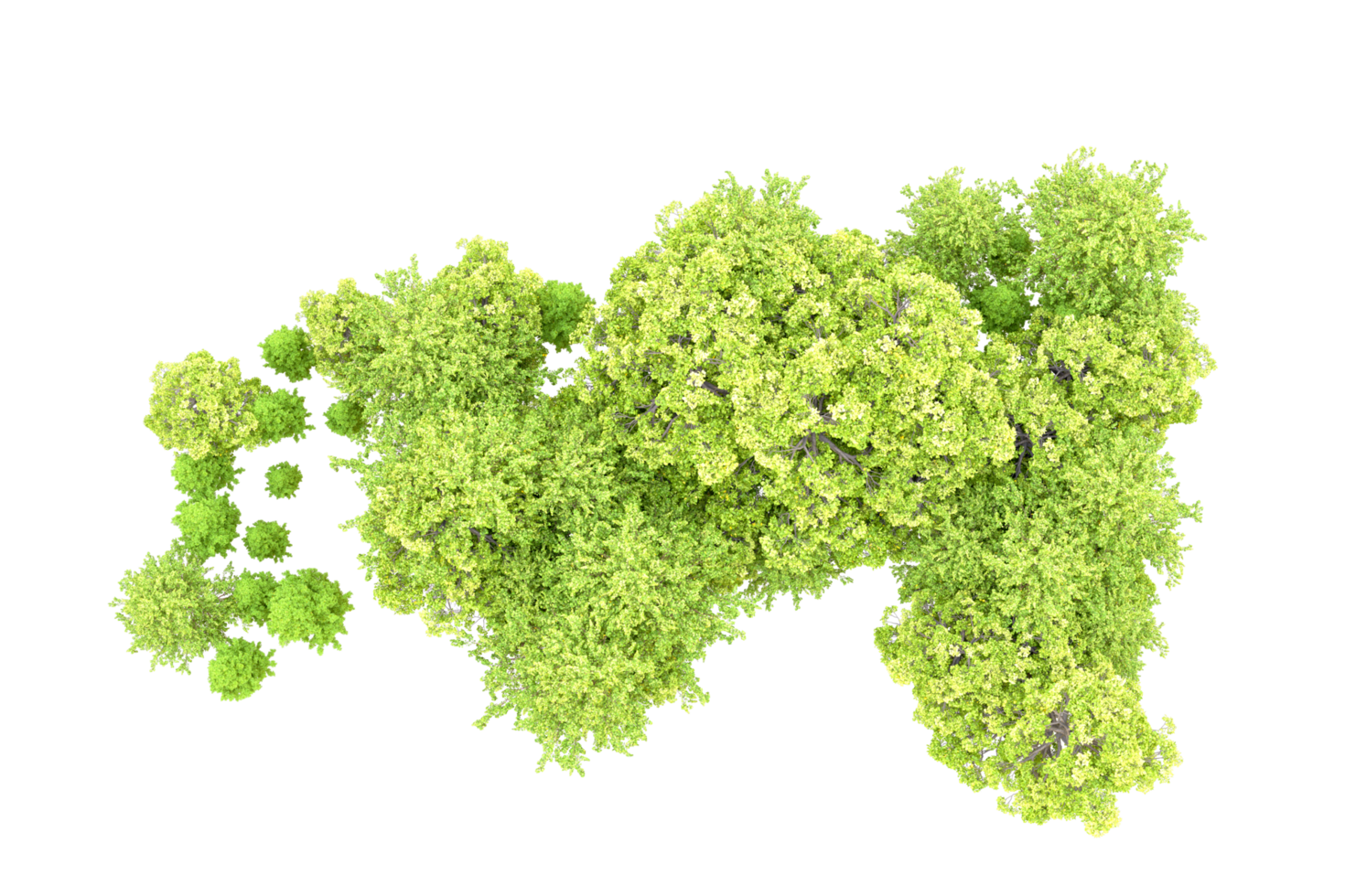 Green forest isolated on background. 3d rendering - illustration png