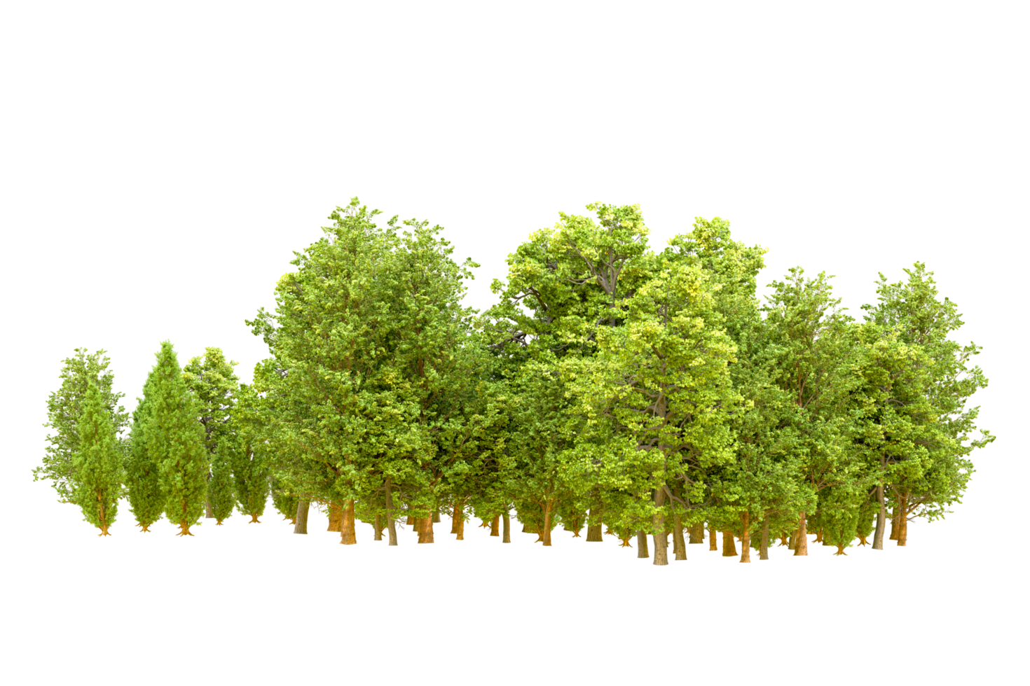 Green forest isolated on background. 3d rendering - illustration png