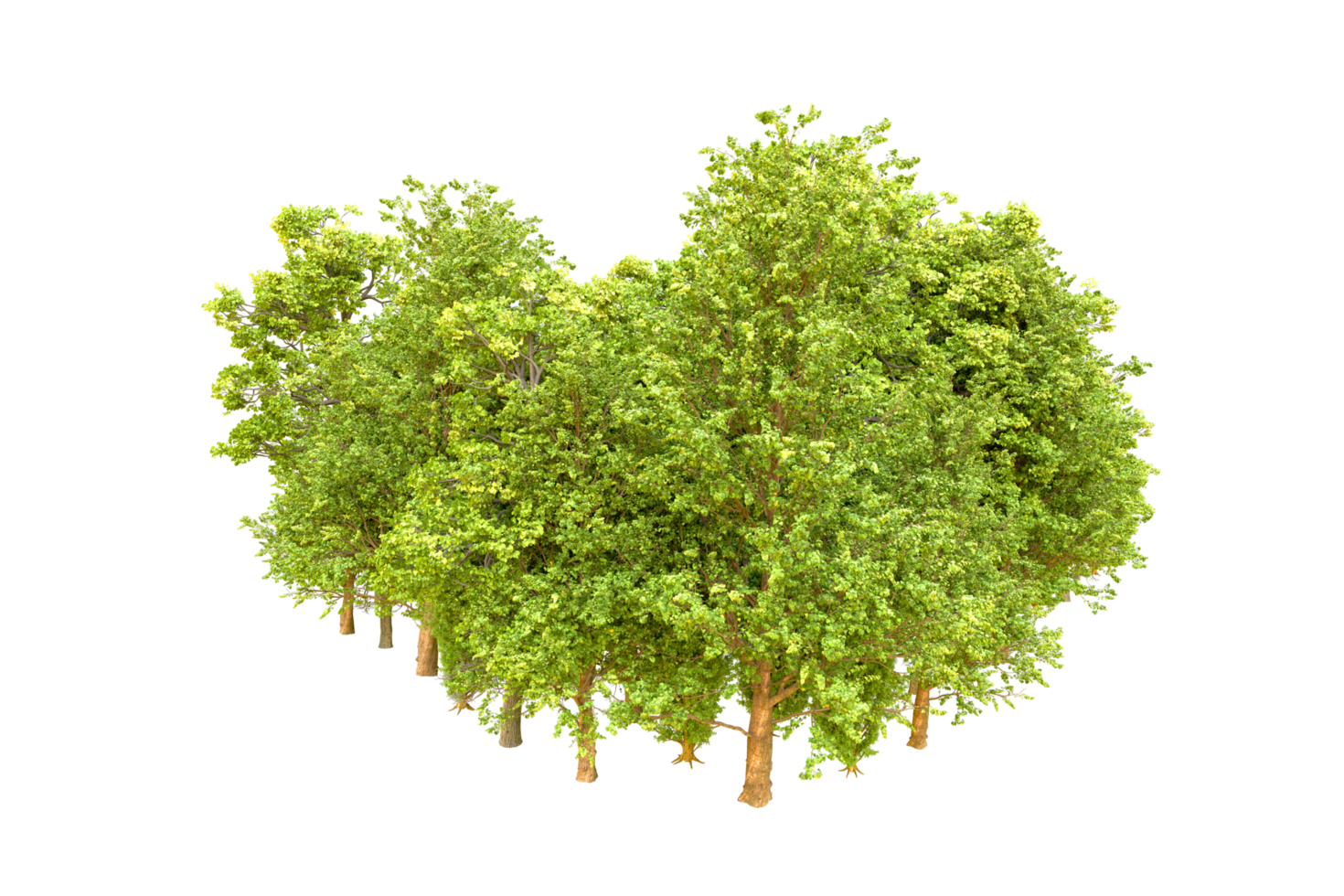 Green forest isolated on background. 3d rendering - illustration png